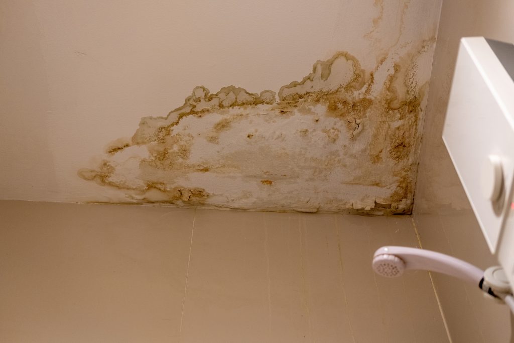 Unseen Faults: Catch Them Early with Mould Inspections in Wet Weather -